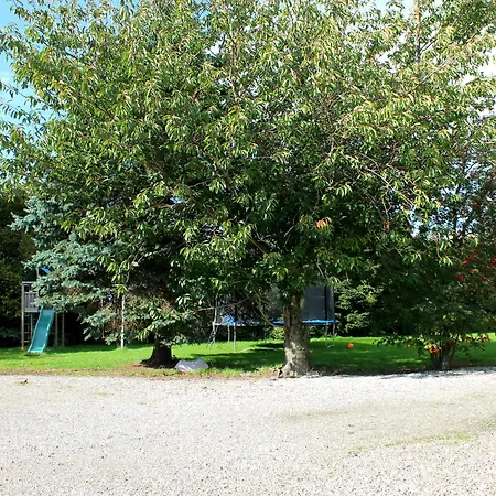 Medio פרדריקה