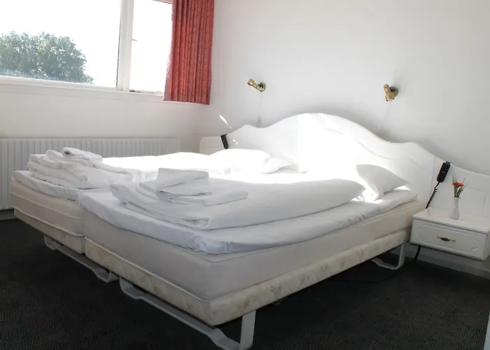 Medio 腓特烈西亚