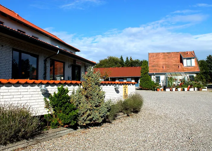 Medio 腓特烈西亚