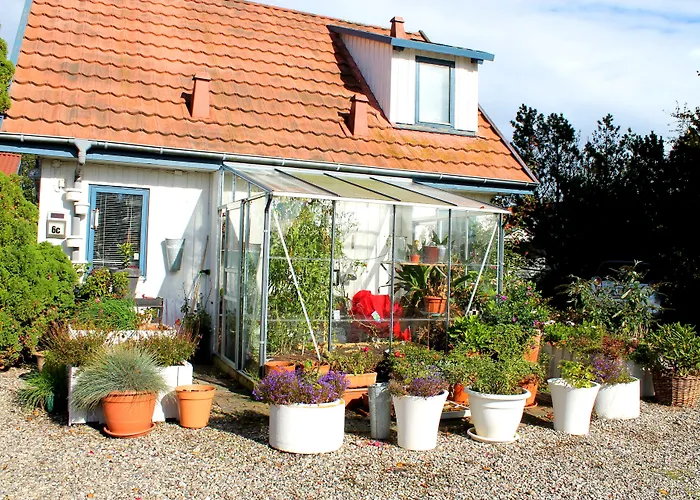 Medio 3* 腓特烈西亚